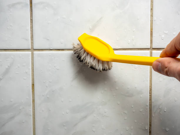 Best Mold Testing  in Waxahachie, TX