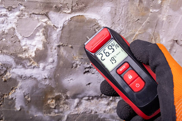 Best Toxic Mold Removal  in Waxahachie, TX