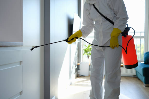 Office Mold Removal Services in Waxahachie, TX